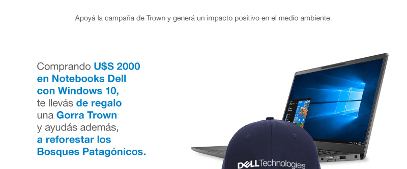 Promo Dell